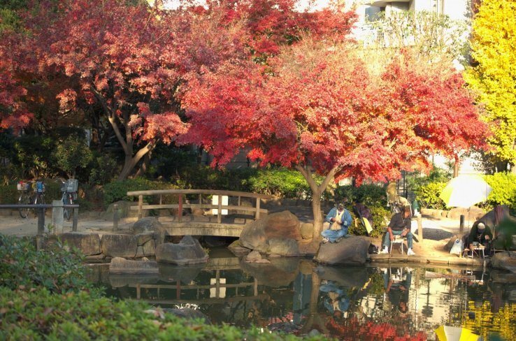 Arai Yakushi Park in Nakano, Tokyo