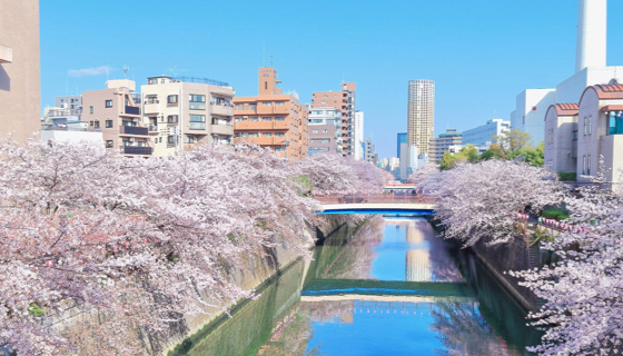 Meguro, Tokyo Apartment Rentals and Area Guides