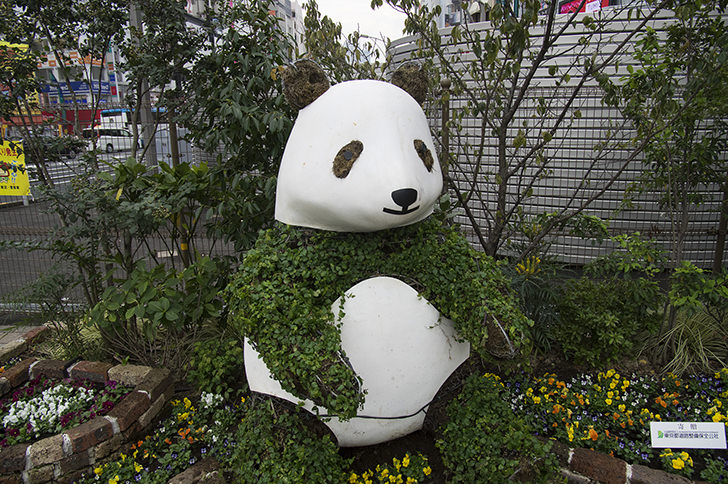 Ueno Zoo Panda - Ueno, Taito, Tokyo