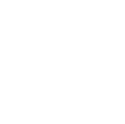 Logo Icon