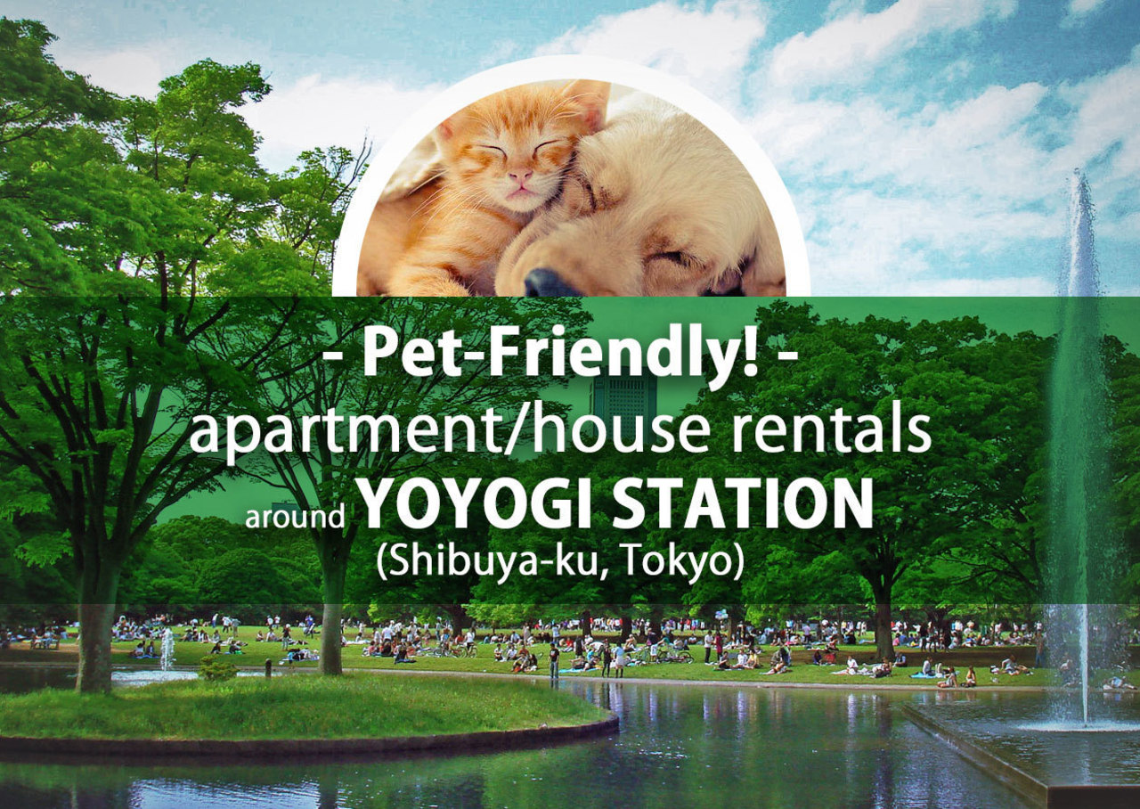 pet-friendly-rentals-in-yoyogi-expat-ok-foreigner-friendly-tokyo