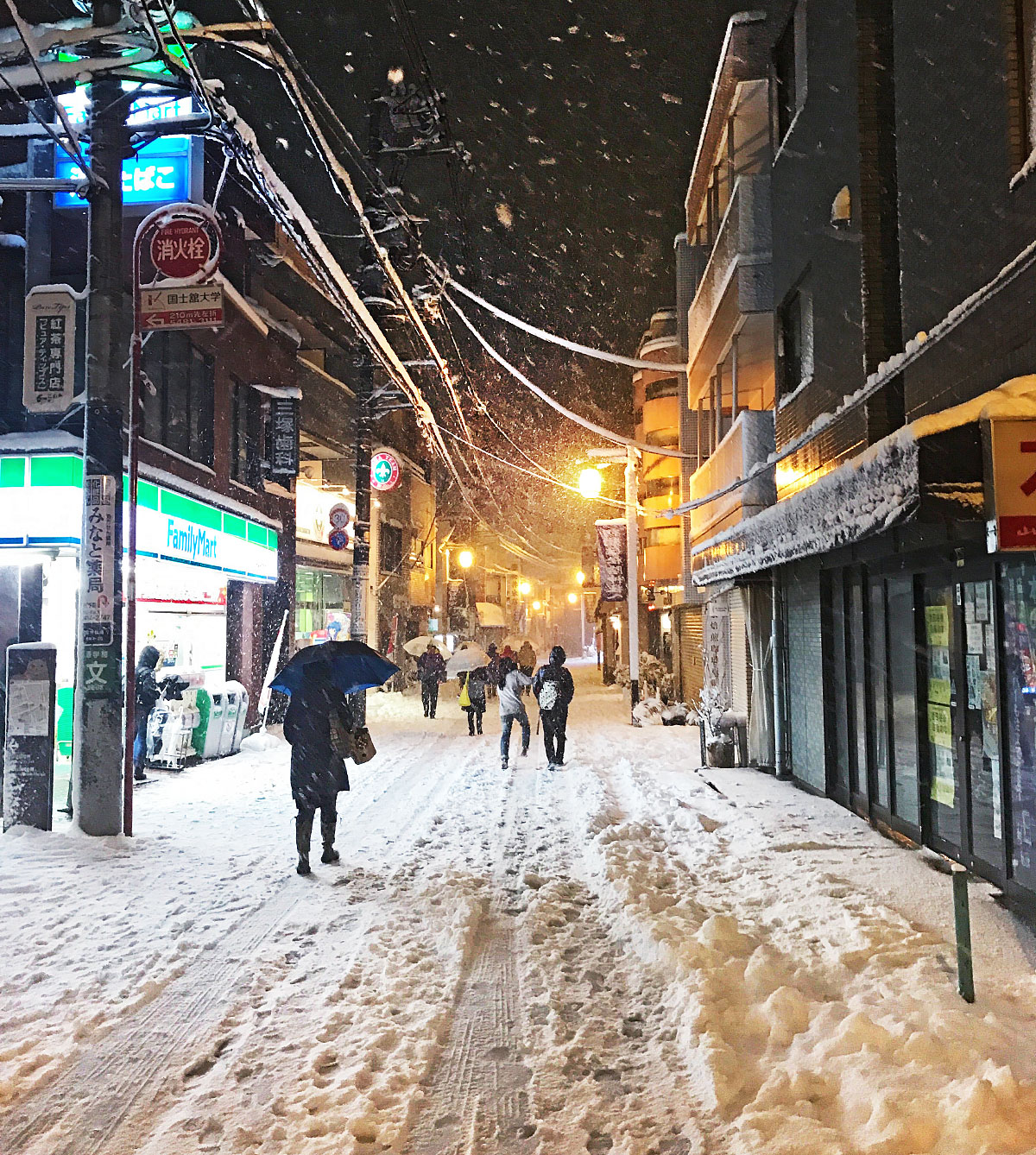 Tokyo snow storm of 2018, snowy shotengai Tokyo