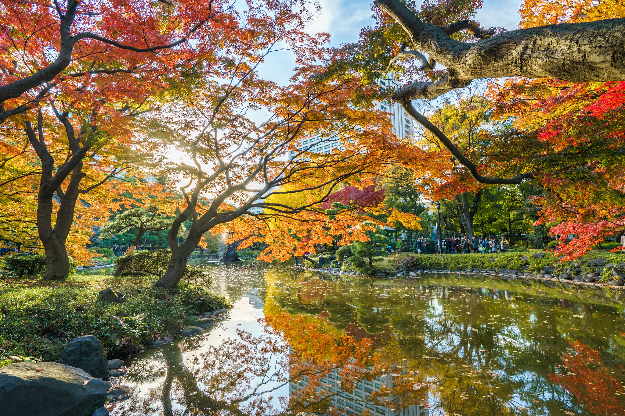 Autumn Foliage in Japan - Spots in the City and Perfect Day Trips - Apts.jp