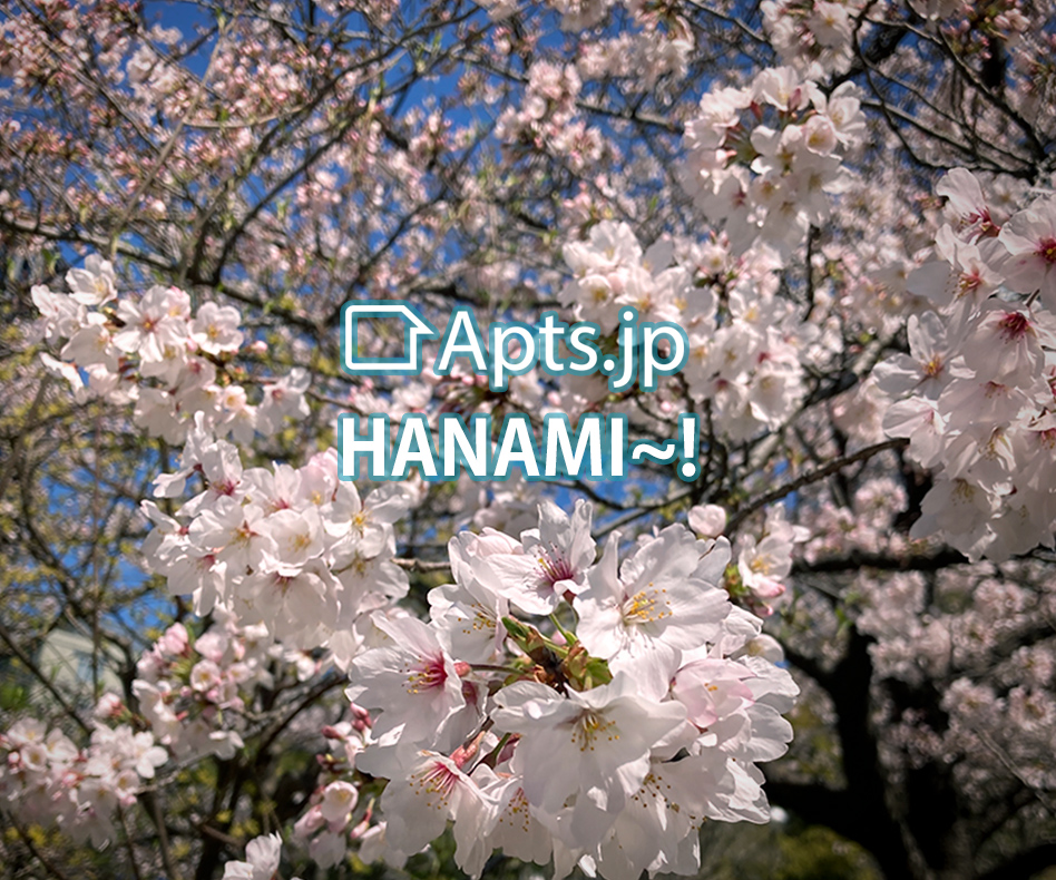 It's time for Hanami - Apts.jp