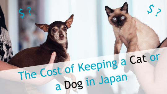 The Cost of Keeping a Cat or Dog in Japan