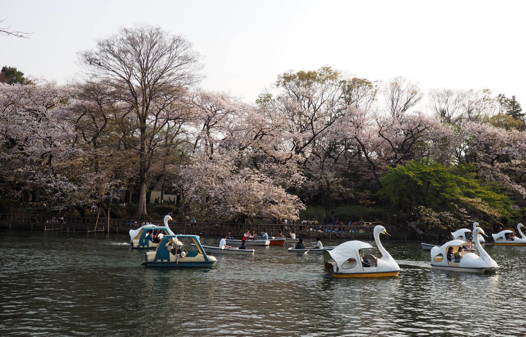 Inokashira Park - Kichijoji