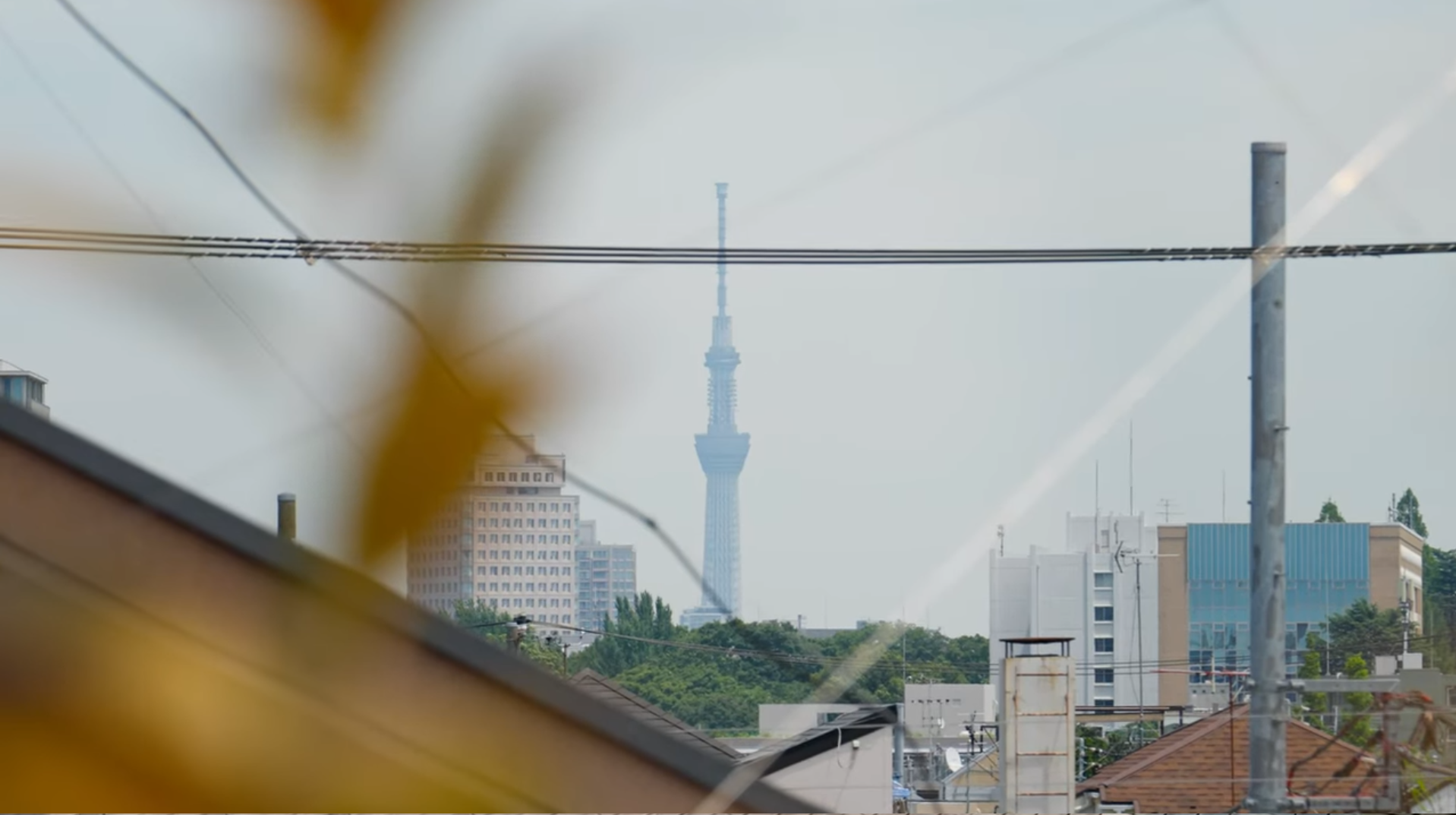 Luxury apartment in central Tokyo rooftop view on Skytree