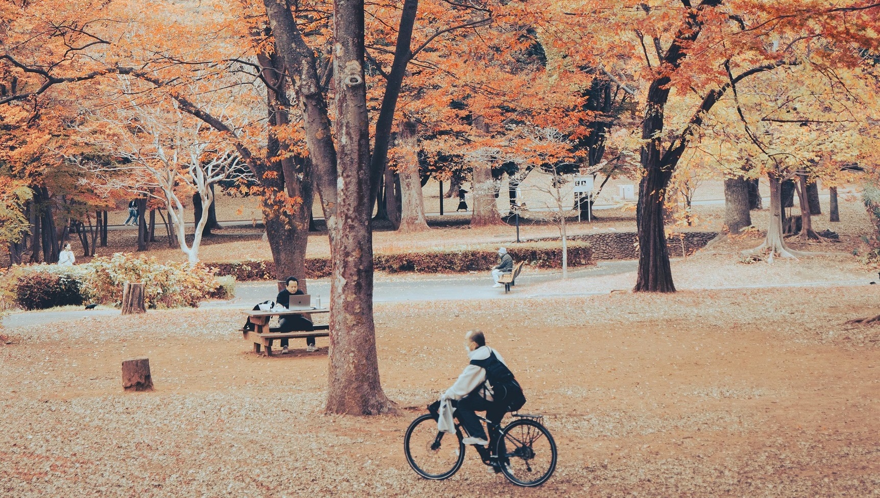 Cover image of 'Getting a Bicycle in Tokyo – Bicycle Registration and Rules in Japan '