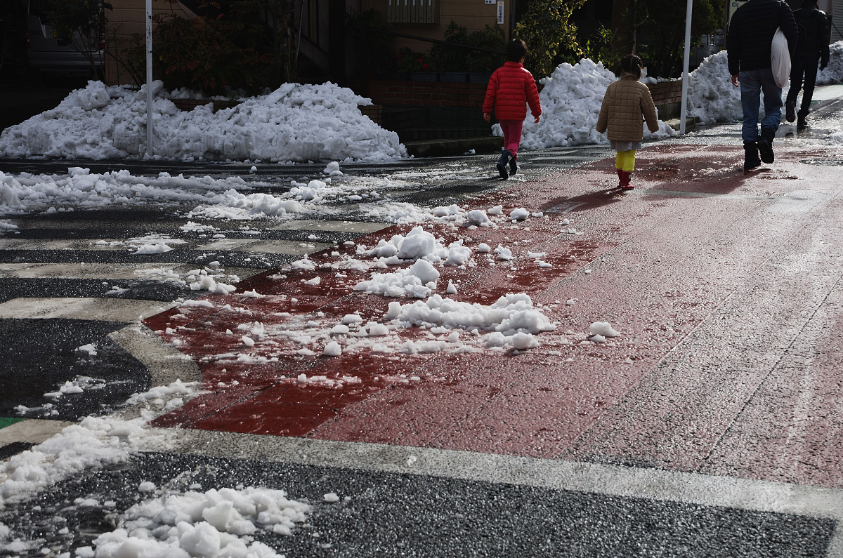 Timing your move in Japan - Moving in Tokyo during the winter